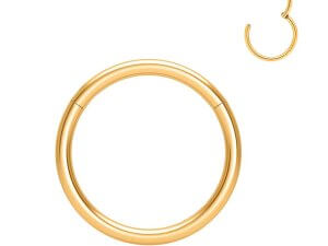 G23 Titanium Hinged Segment Ring Body Piercing Nose Hoop Lip Rings 1.0MM 18G Gold